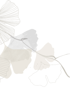 shape